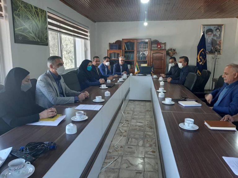 ️ارائه ۱۹ ساعت برق رایگان به کشاورزان گلستانی همکاری در مدیریت مصرف