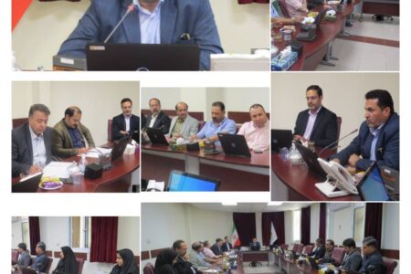 مطالبات نیروگاه‌داران استان فارس، روی میز پیگیری مدیرعامل