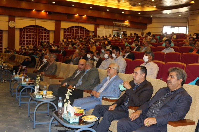 بيست-و-نهمين-همايش-ايمنی-شرکت-برق-منطقه