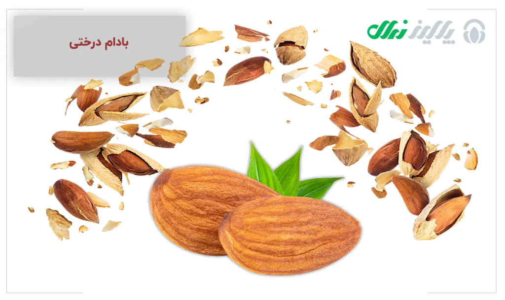 بادام درختی