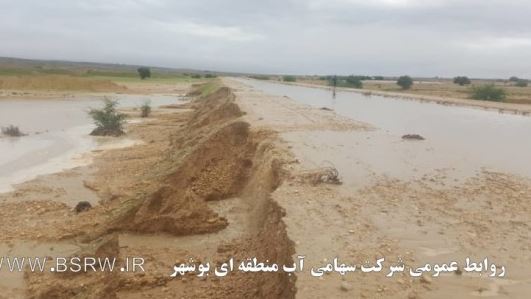 سیلابی شدن رودخانه ها و آبراه های استان بوشهر