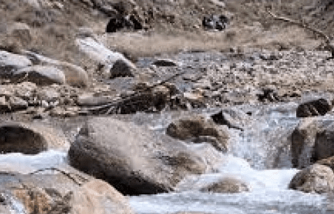 لایروبی و پاکسازی رودخانه‌های استان یزد
