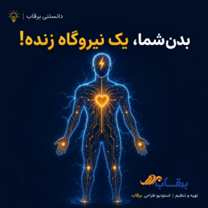 الکتریسیته-بدن-انسان