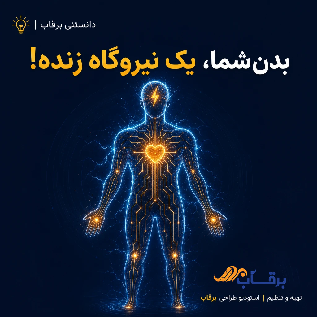 الکتریسیته-بدن-انسان