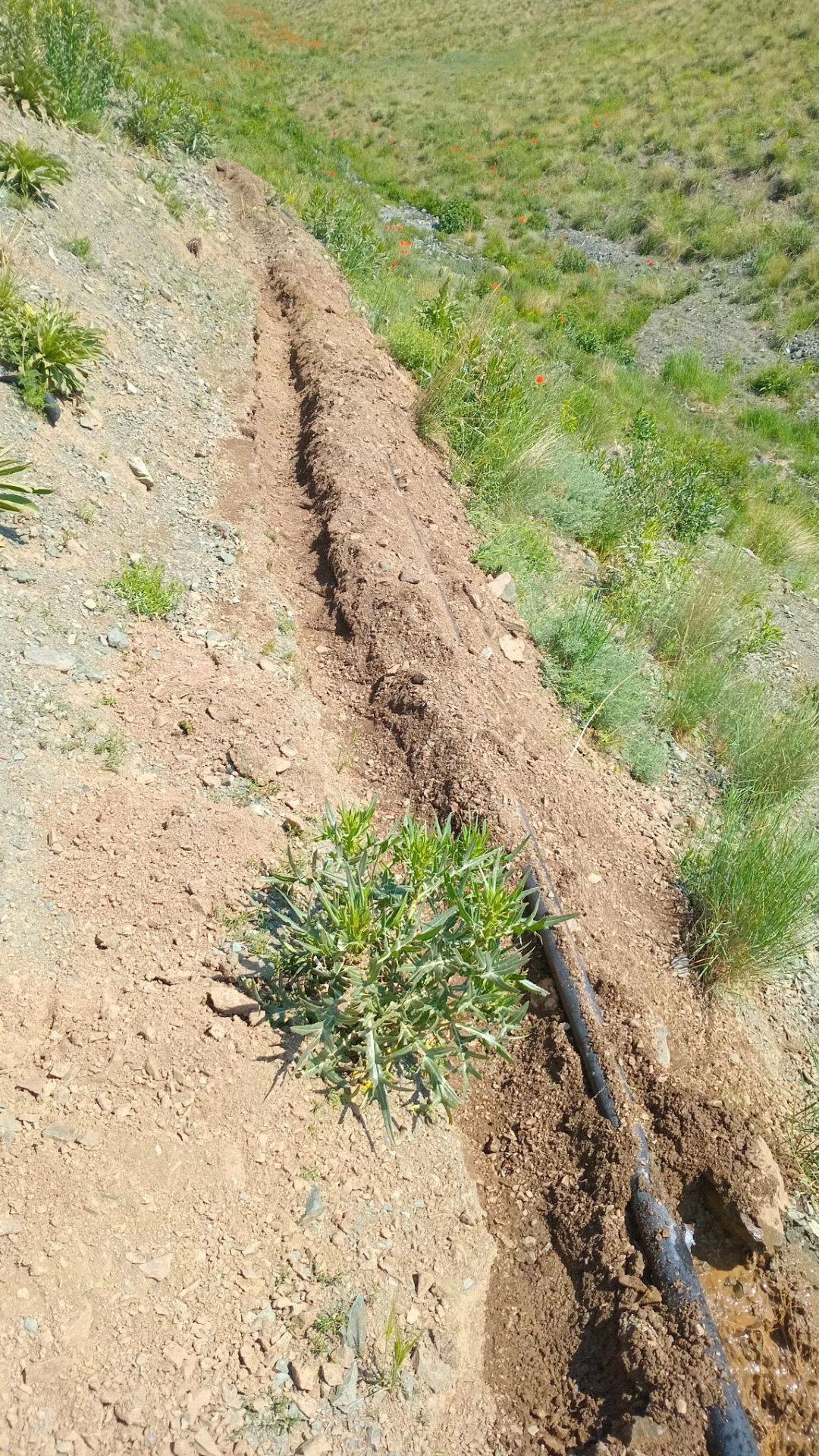 ترکیدگی