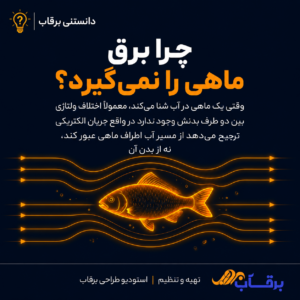 چرا-ماهیها-دچار-برقگرفتگی-نمیشون