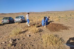 پایداری جریان آب در ۱۸ روستای شهرستان بام و صفی‌آباد استان خراسان شمالی