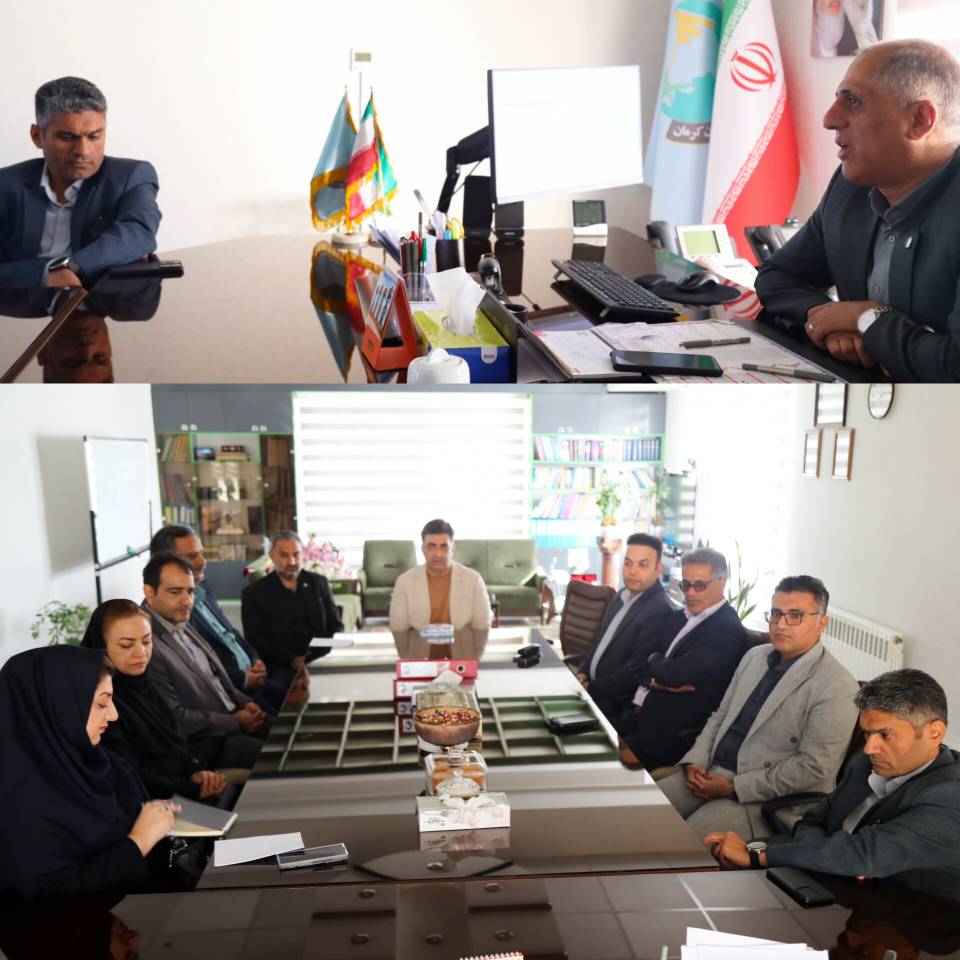 بازدید نظارتی از اجرای طرح ملی «مهتاب» در شرکت توزیع نیروی برق جنوب استان کرمان