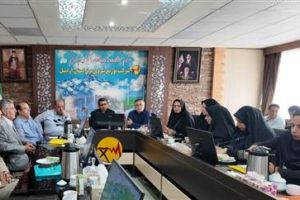 افتتاح ۶۰۰ میلیارد تومان پروژه برق اردبیل در هفته دولت