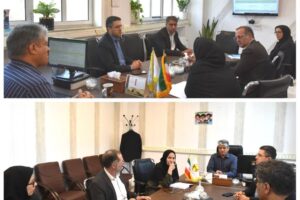 بازنگری و تقویت ساختار سازمانی معاونت مالی و پشتیبانی شرکت برق منطقه‌ای سیستان و بلوچستان