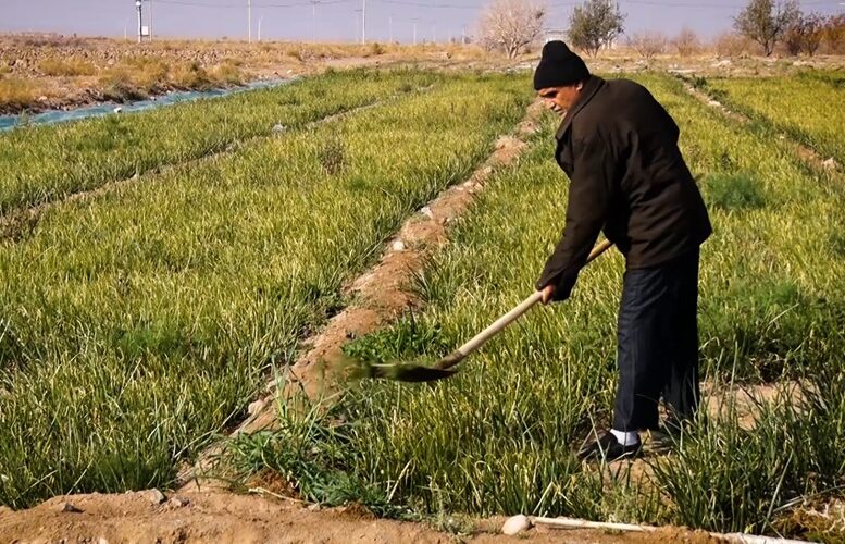 تجارب موفق مدیریت توزیع آب در حوضه‌ی زاینده‌رود الگویی برای آینده است