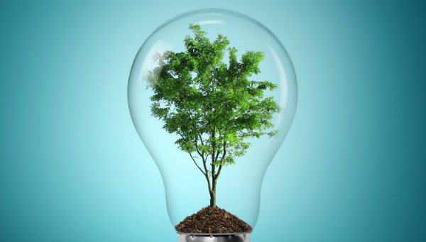 برق سبز: راه حلی برای چالش‌های زیست‌محیطی و اقتصادی