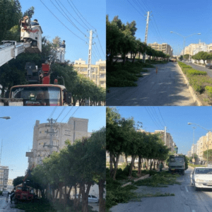 هرس درختان درگیر با شبكه برق برای ایمنی سازی و تامین برق پایدار در بوشهر