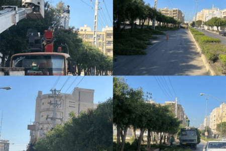 هرس درختان درگیر با شبکه برق برای ایمنی سازی و تامین برق پایدار در بوشهر