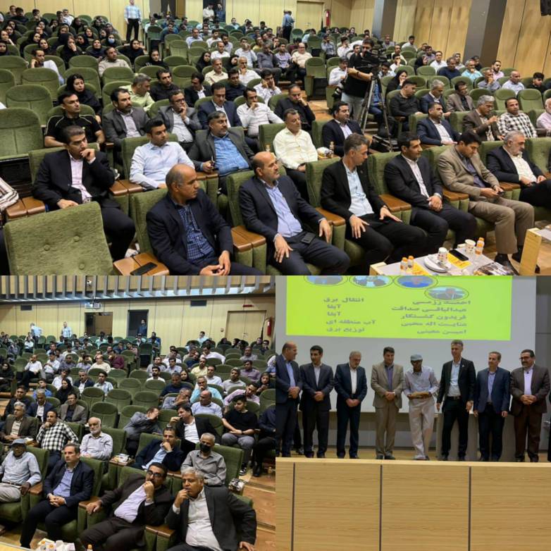 بیش ۲۵۰ نفر از ورزشکاران نمونه صنعت آب و برق تجلیل شدند