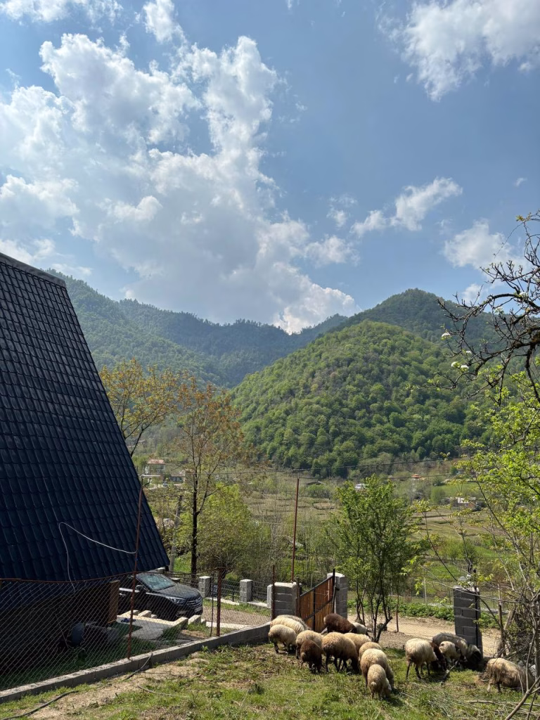 بومگردی-چیست-و-چرا-برای-سفرهایمان-ان