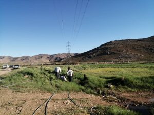 بهبود-پایداری-شبکه-برق-در-اقلید-با-تلاش