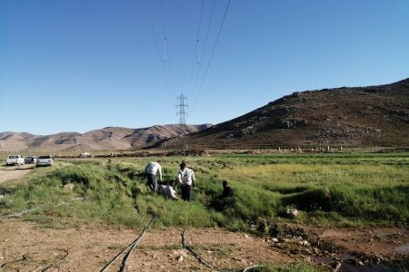 شبکه برق در اقلید با تلاش مهندسان برق منطقه ای فارس بهبود یافت