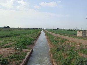 تمدید مهلت انعقاد قرارداد تامین آب کشت زمستانه 1401 در شبکه آبیاری مارون