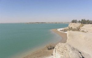 بلوم-جلبکی-و-تاثیر-آن-در-بروز-بو-و-طعم