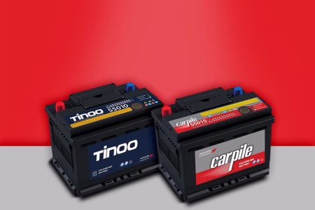 معرفی بهترین نماینده اشجع باتری (اکو باتری)