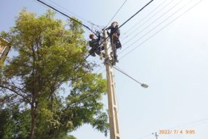 باخرز سومین شهر سبز خراسان رضوی نام گرفت
