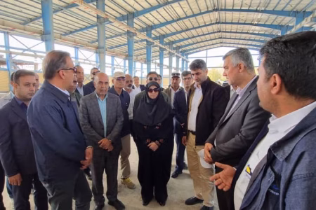 بازدید رئیس سازمان حفاظت محیط زیست کشور از پروژه تصفیه فاضلاب شهری بندرعباس
