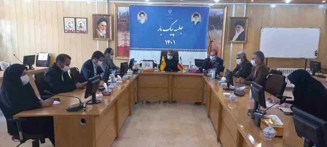 بر ضرورت هماهنگی وبرنامه ریزی بین شرکتها تاکید شد