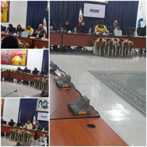 همایش مدیریت مصرف برق با حضور بانوان شاغل ادارات مهران برگزار شد