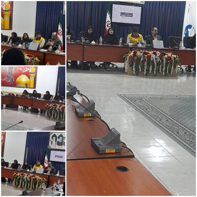 همایش مدیریت مصرف برق با حضور بانوان شاغل ادارات مهران برگزار شد