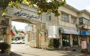 رشد اوج بار سال جاری، بالاتر از میانگین 5 ساله است
