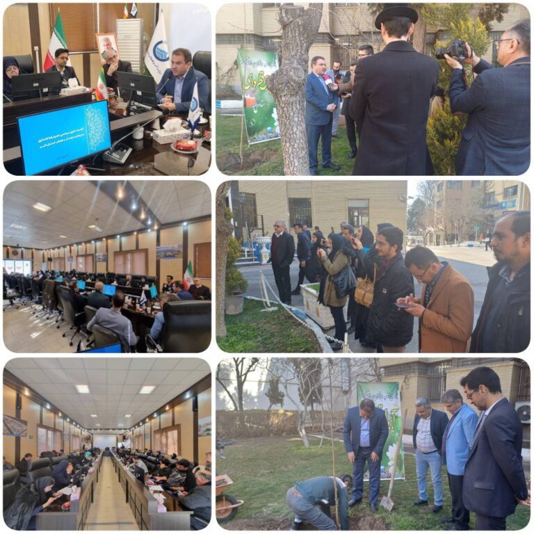 کاشت-نهال-درخت-به-روش-آبیاری-قطره-ای-از