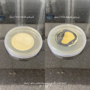 راه اندازی آزمايش تشخیصی و شمارش باکتریهای کلستریدیوم پرفرنژنس