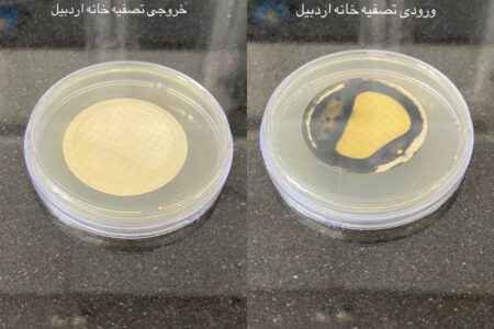 راه اندازی آزمایش تشخیصی و شمارش باکتریهای کلستریدیوم پرفرنژنس