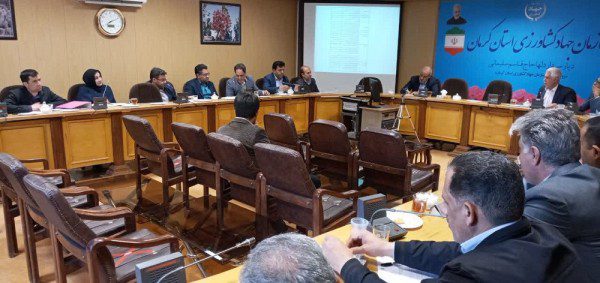 نشست استراتژیک کرمان برای توانمندسازی روستایی تحت الگوی تکام