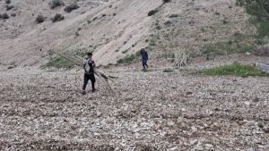 رفع-تصرف-بیش-از-5-هزار-متر-مربع-از-بستر-رو