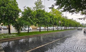 میزان بارش تجمعی در استان فارس از ابتدای سال آبی جاری 253 میلیمتر می‌باشد