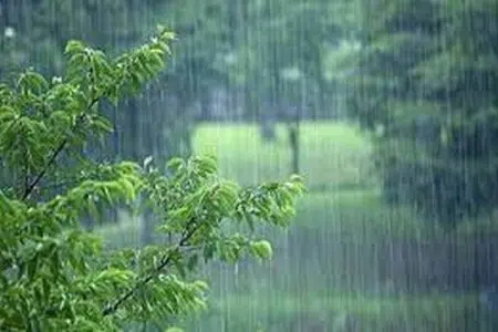 ایستگاه باغو بندرگز بیشترین میزان بارش را ثبت کرد