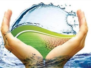 538 مورد اقدام حفاظتی درتفت و مهریز در یکسال گذشته
