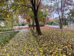 تولید بیش از ۱۵ هزار مگاوات ساعت برق در نیروگاه طرشت