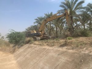 آبیاری ۱ میلیون نخل با وجود سال کم‌بارش
