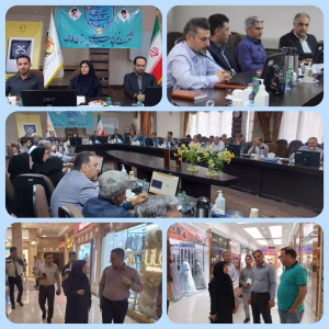 ارزیابی عملکرد شرکت توزیع نیروی برق استان فارس در حوزه ۳۶ بسته مدیریت مصرف