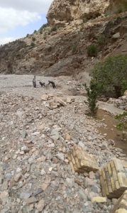 استان یزد دارای ۲۷۸۶کیلومتر رودخانه است