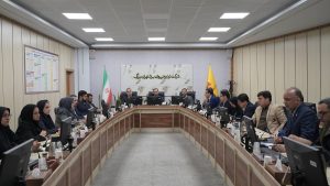 بررسی معاون سازمان ملی بهره وری از شرکت توزیع نیروی برق تهران بزرگ
