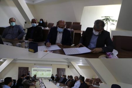 شرکت توزیع نیروی برق استان بوشهر و دانشگاه خلیج فارس تفاهم نامه همکاری امضا کردند