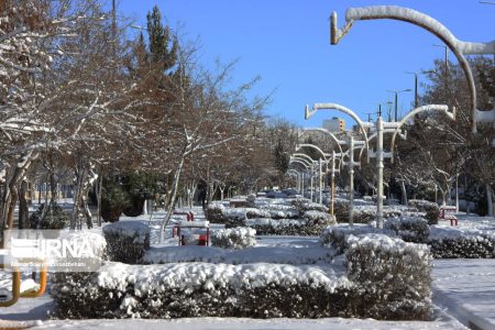 بارش برف بیش از ۳ میلیارد ریال به شبکه توزیع برق اقلید فارس زیان زد