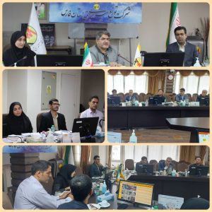 برگزاری جلسه مدیران دفاتر هیات مدیره شرکت های توزیع نیروی برق منطقه جنوب کشور