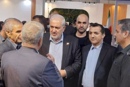 ورود دکتر علی‌آبادی، وزیر محترم نیرو به کرمان