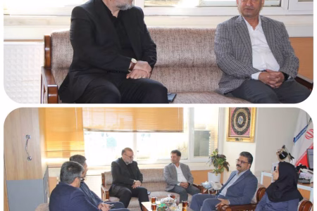 تأکید مهندس مهدوی‌نیا بر ضرورت نوسازی روشنایی شهری کرمان