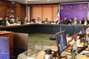 تنوع بخشی به سبد حامل‌های انرژی در کشور